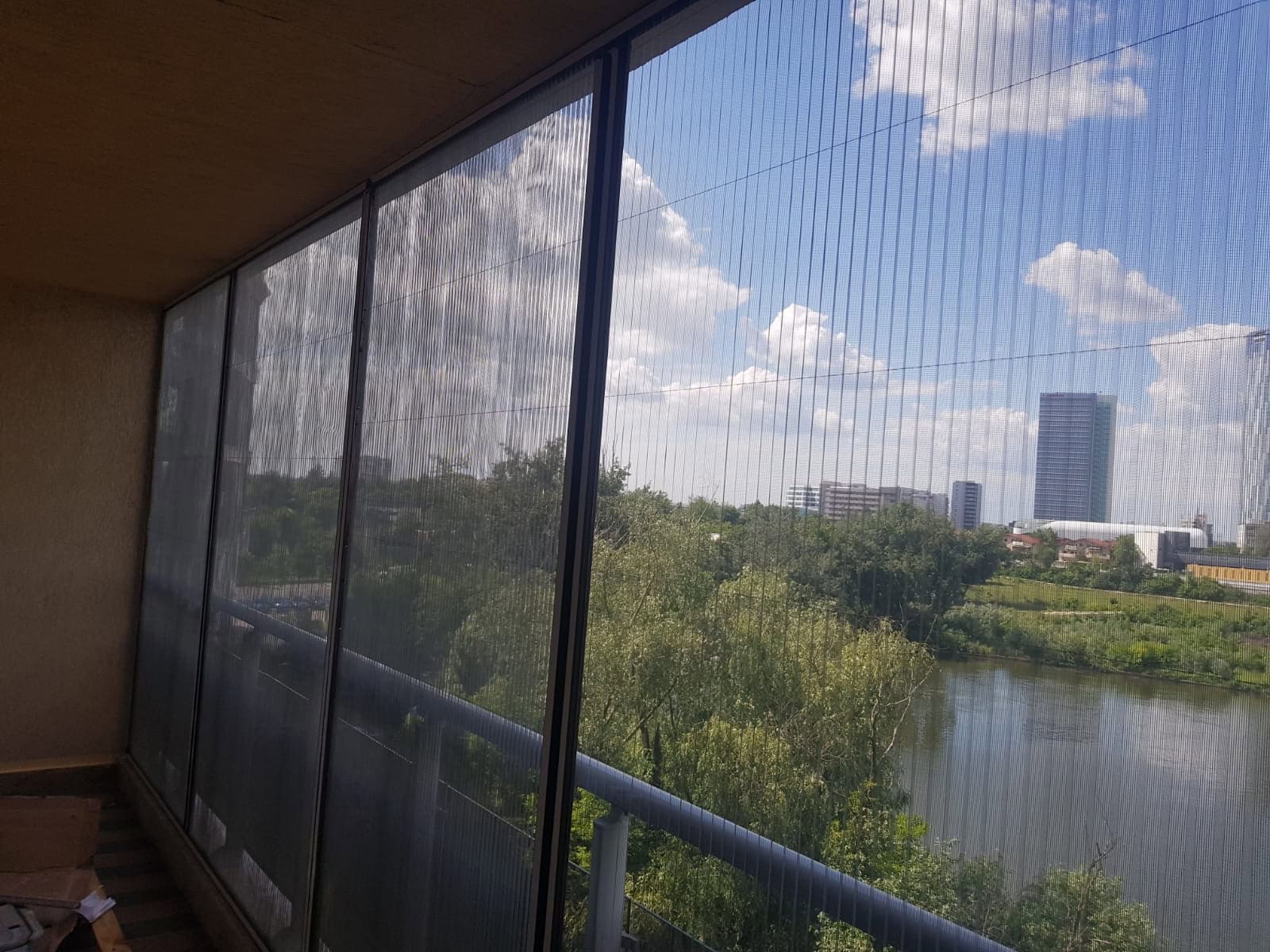 plasa plianta Bucuresti si Ilfov